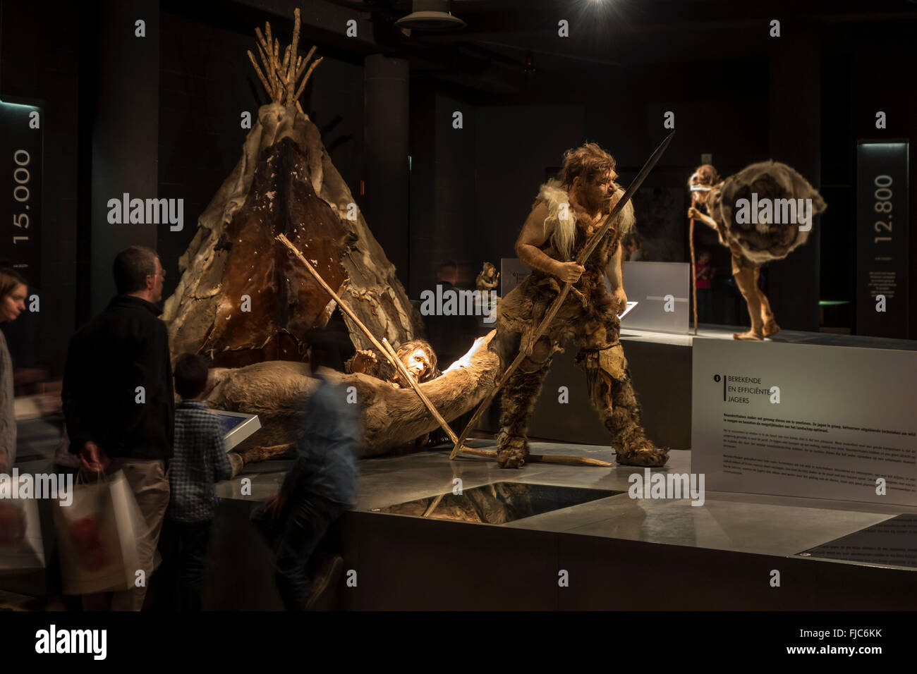 Visitors looking at Neanderthal and Cro Magnon exhibition in the Gallo-Romeins / Gallo Roman Museum, Tongeren, Belgium Stock Photo