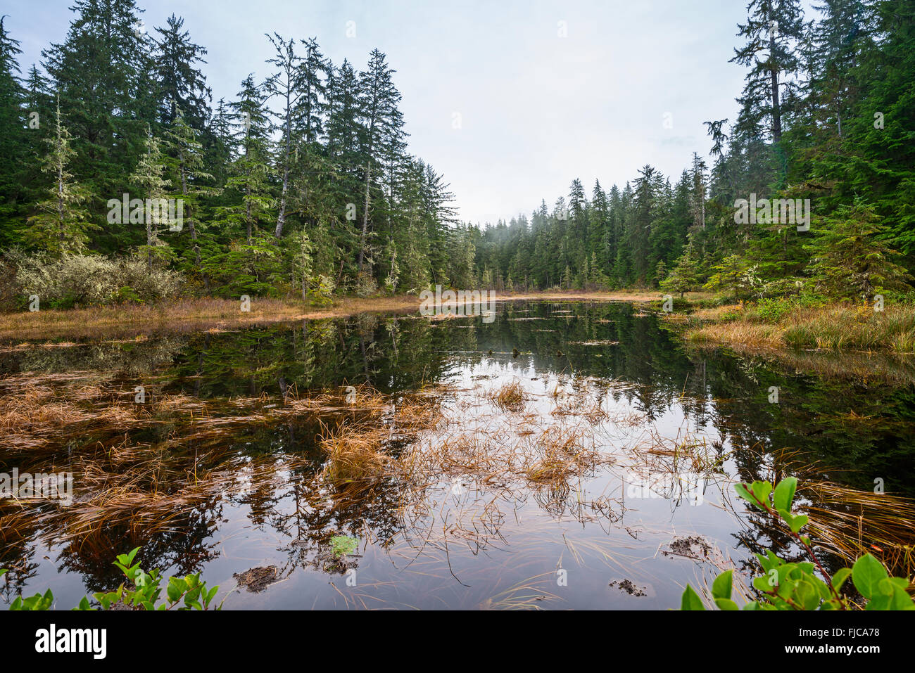 James Pond in Mora of the Olympic National Park in Washington State. Stock Photo