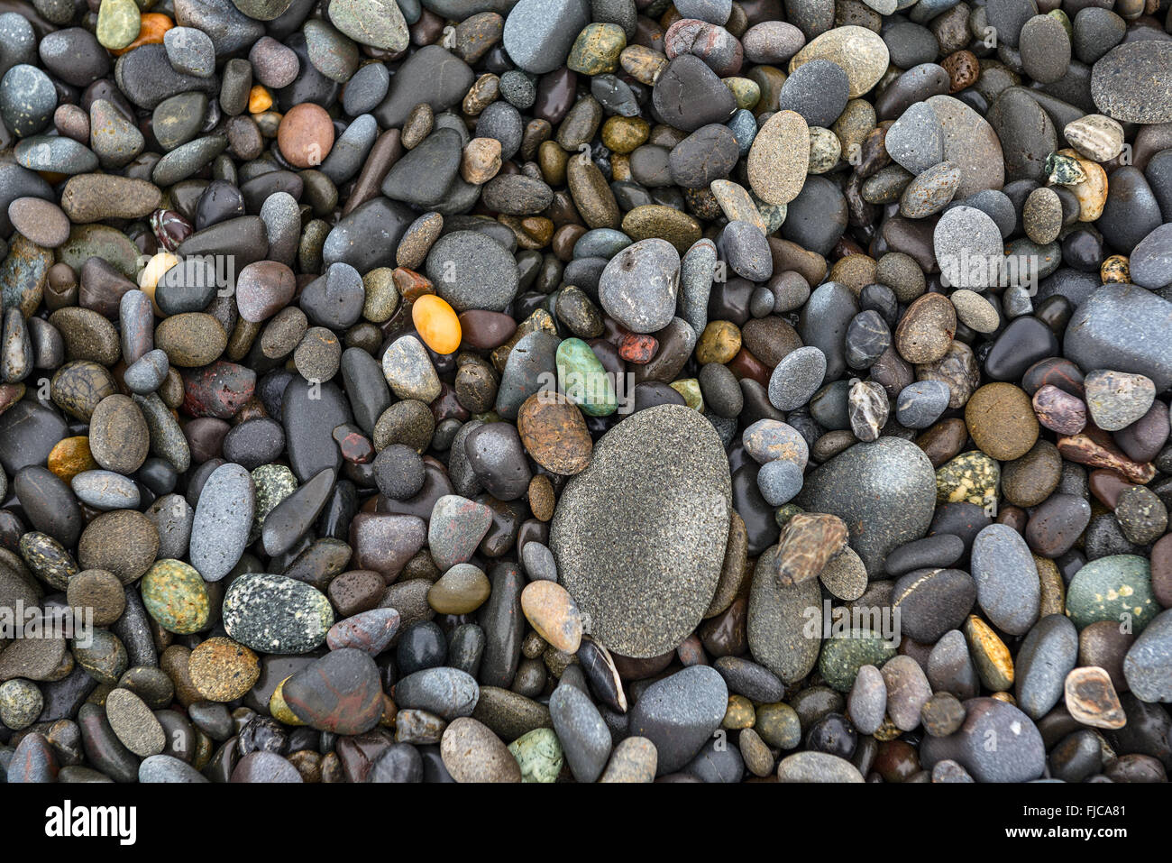 Rocks along the Rialto Beach in Olympic National Park of Washington State. Stock Photo