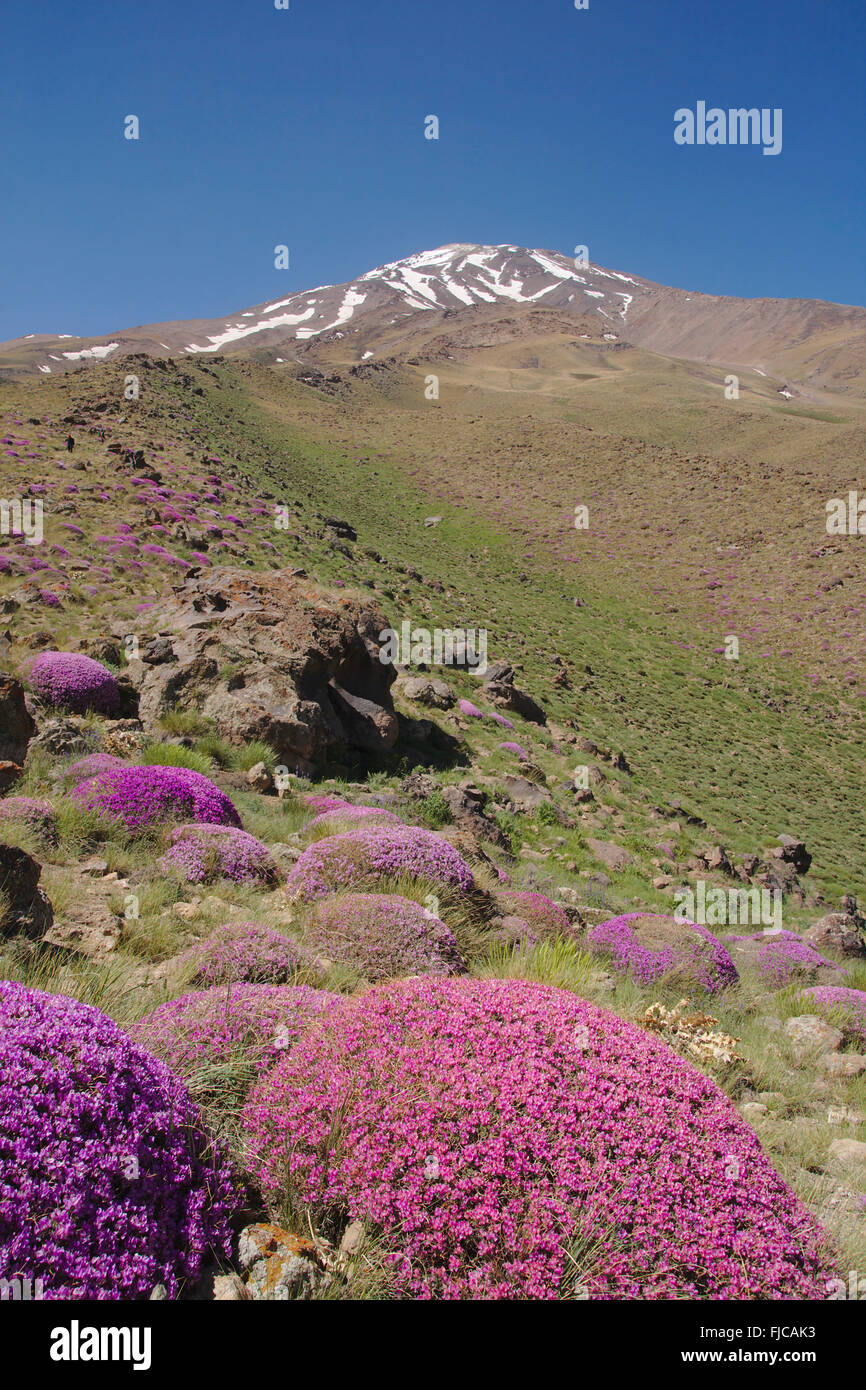 Mount Damavand, stratovolcano in the Alborz mountain range, Iran Stock Photo