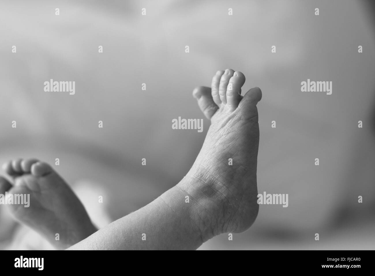 Tiny Newborn feet toes in the air, against a blurred background little girl feet, baby feet, baby toes Stock Photo
