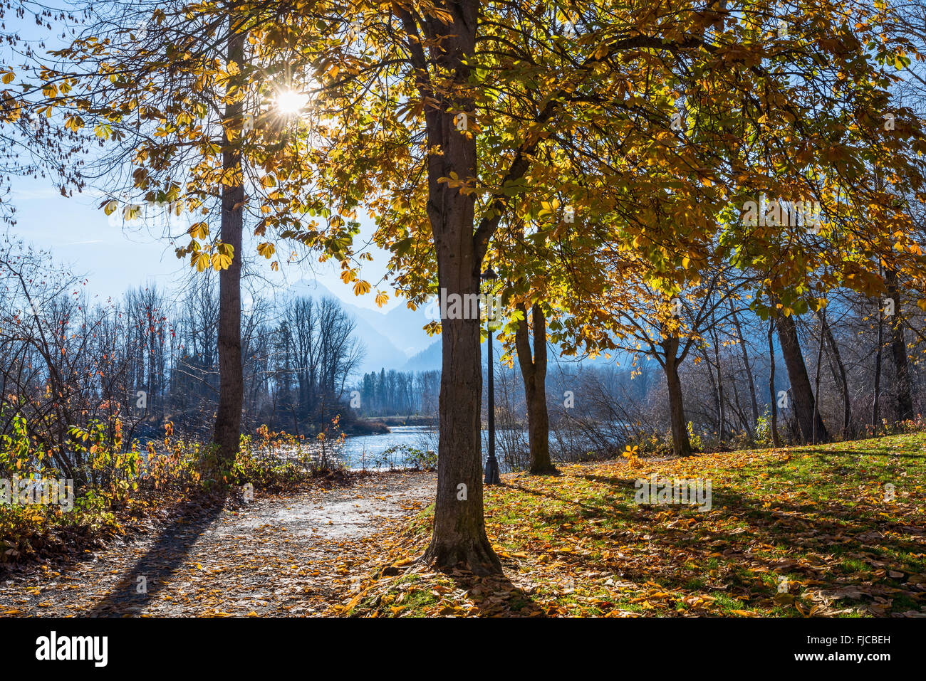 Fall foliage in Leavenworth Waterfront Park in Washington State. Stock Photo