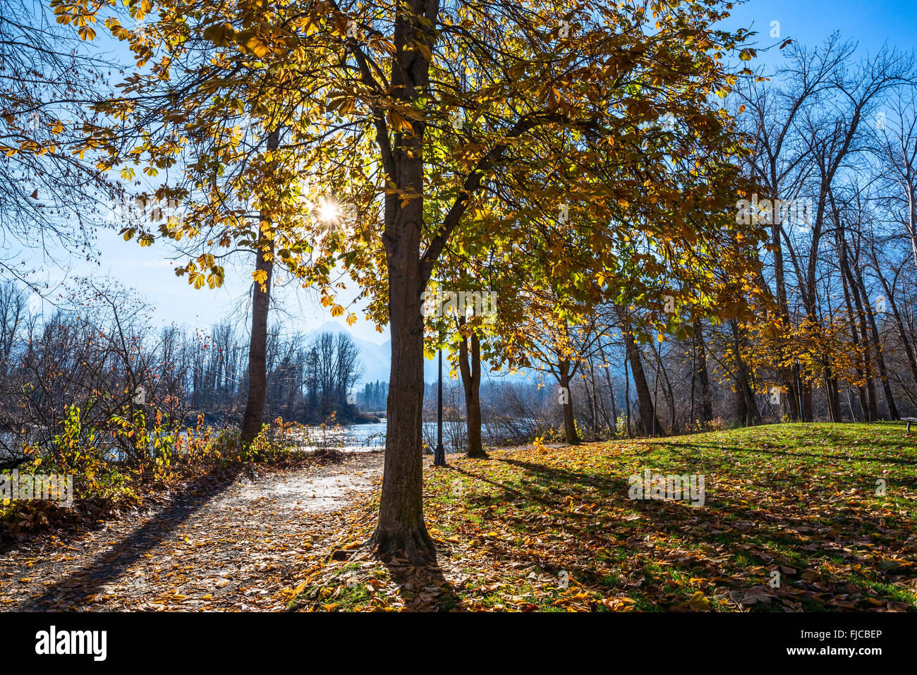Fall foliage in Leavenworth Waterfront Park in Washington State. Stock Photo