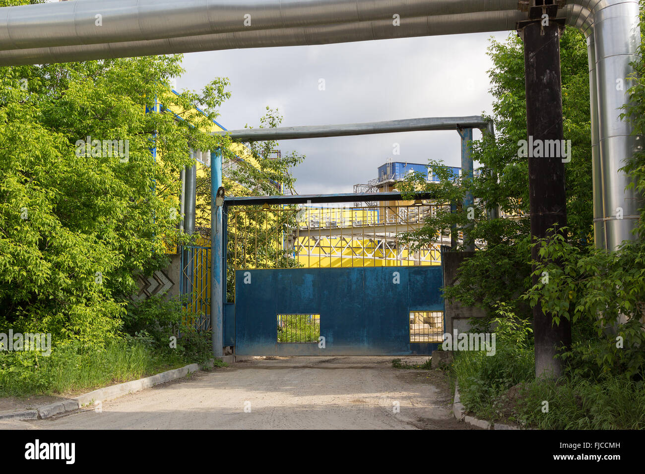 old metal gate at the entrance to the plant Stock Photo