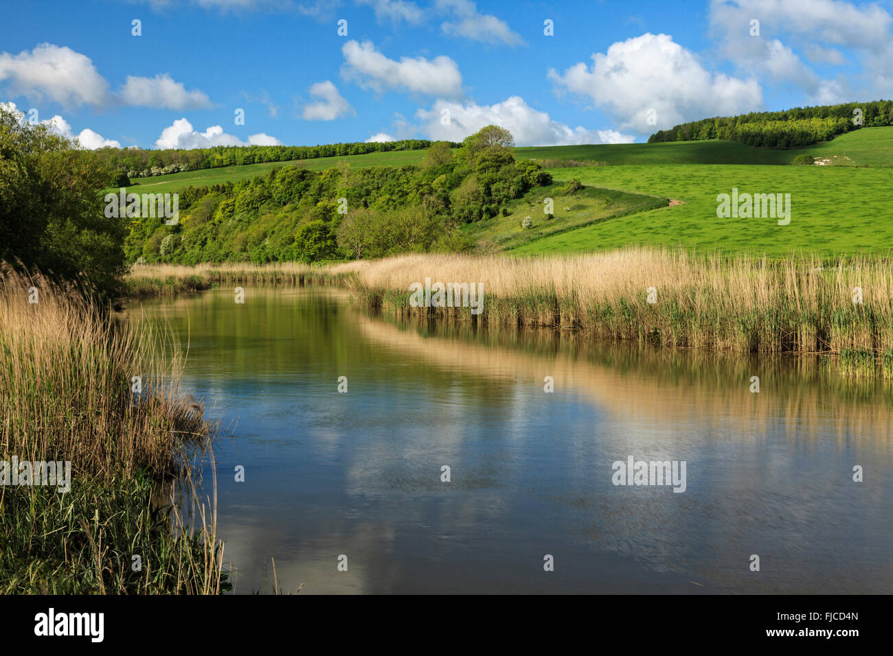 River Arun, South Stoke, Nr Arundel, West Sussex Stock Photo