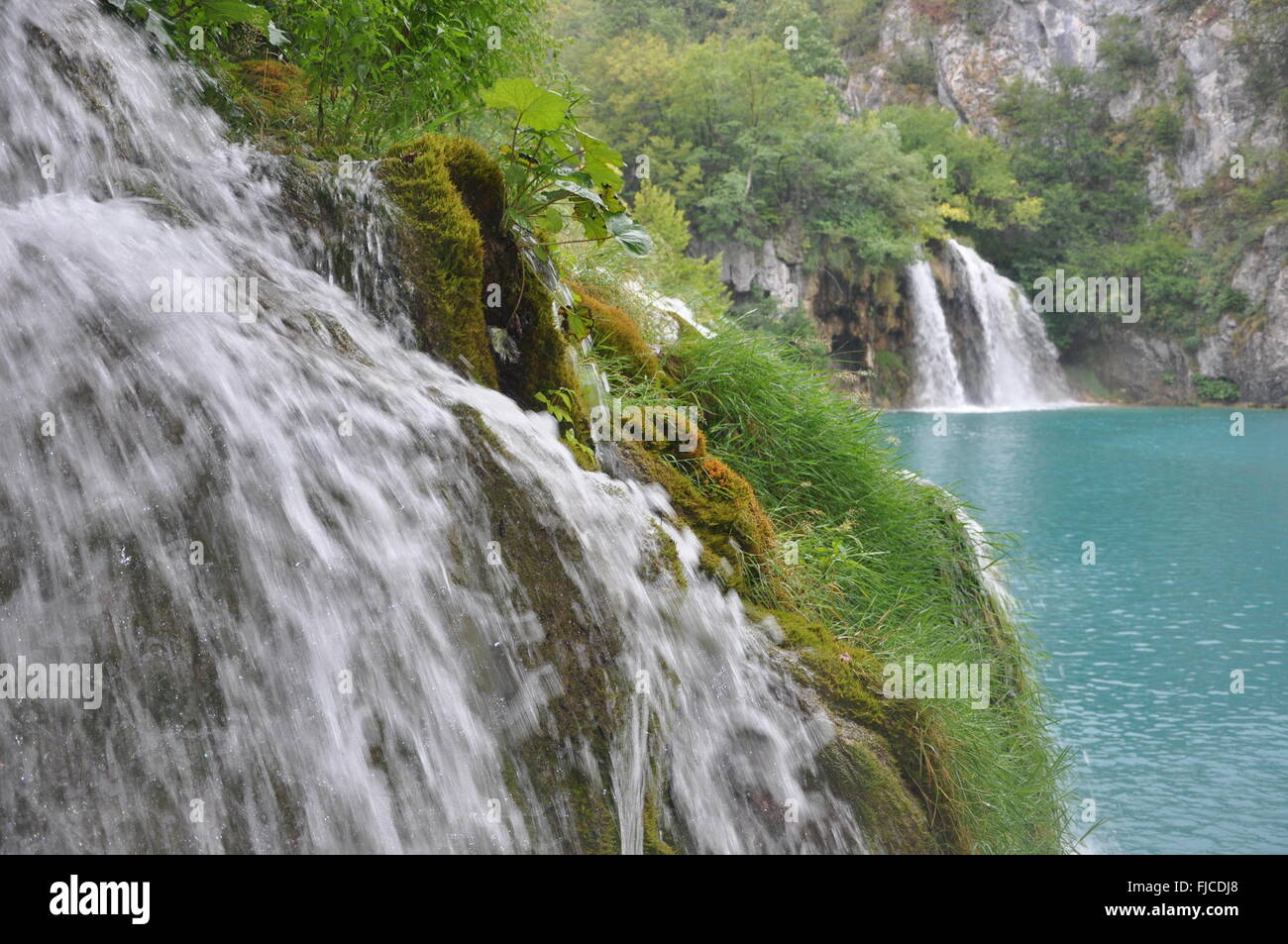 Pretty Vegetation High Resolution Stock Photography and Images - Alamy