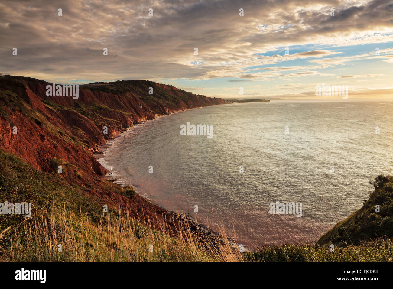 Jurassic Coast of East Devon Stock Photo