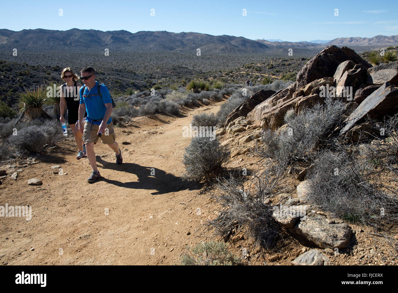 Hikers, Lost Horse Mine Trail, Joshua Tree National Park, California 