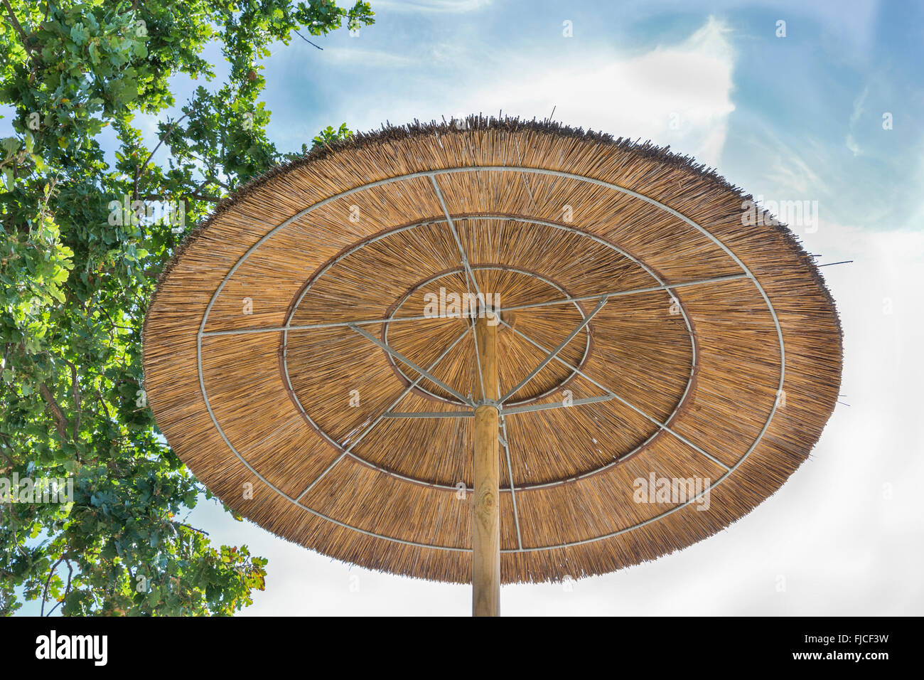 Sun umbrella oak tree hires stock photography and images Alamy