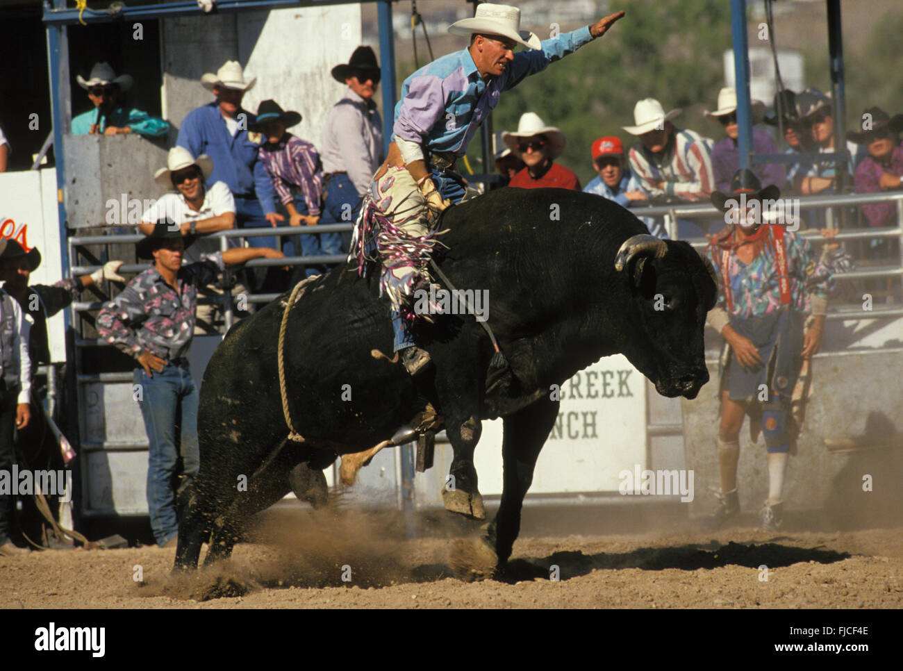 Rodeos, Bull Riding, USA Stock Photo - Alamy