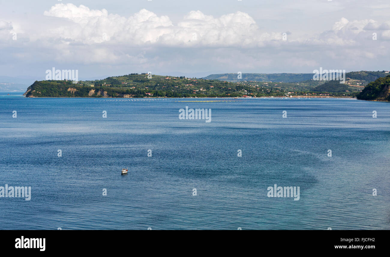 View over Adriatic Sea harbor in Piran, Slovenia Stock Photo