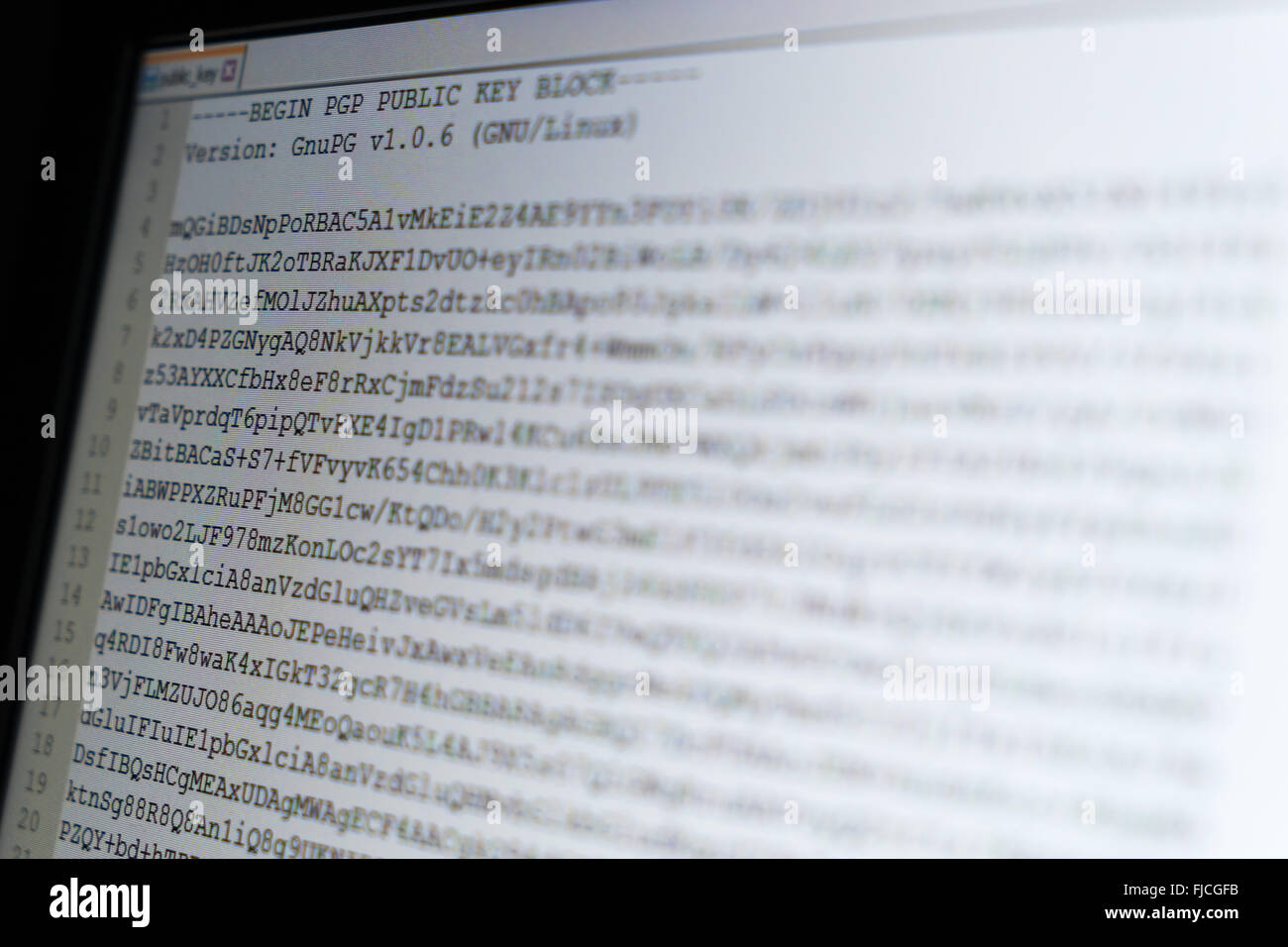 Public encryption key displayed on a screen Stock Photo