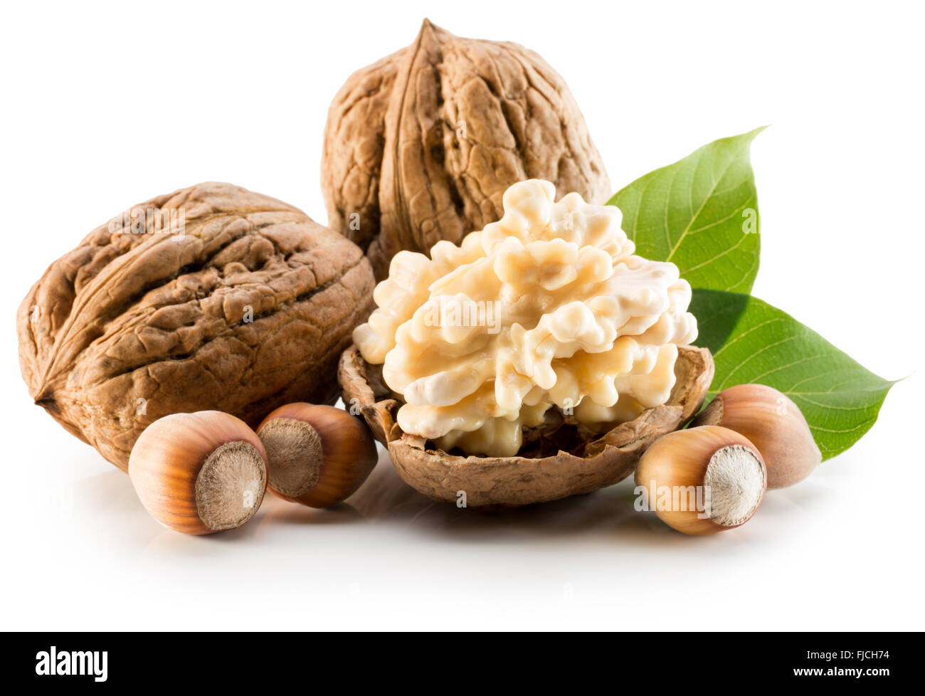 walnuts and hazelnuts isolated on the white background Stock Photo Alamy
