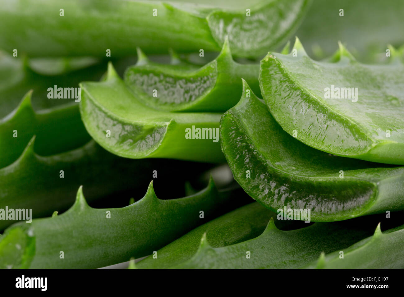 Aloe texture hi-res stock photography and images - Alamy