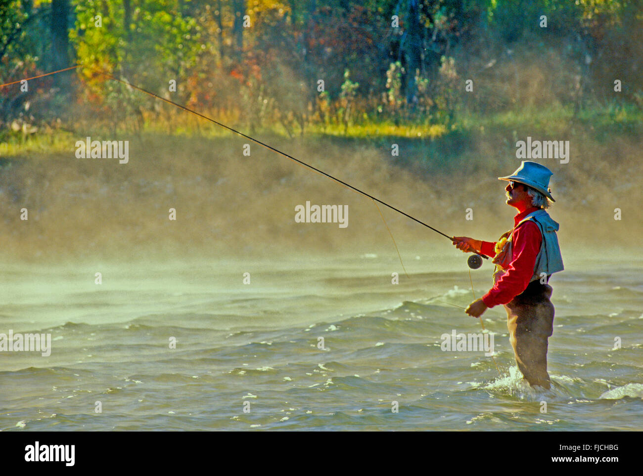 Trout Fisherman fly casting for Trout. South Fork of the Snake River