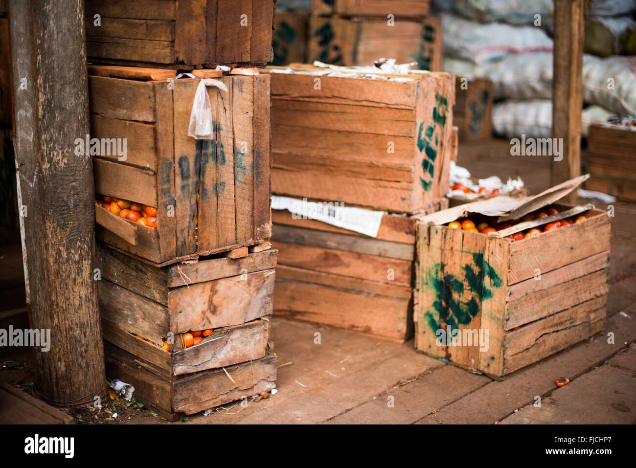 MANDALAY, Myanmar - Crates of tomatoes at the fish and flower market in Mandalay, Myanmar (Burma). Stock Photo