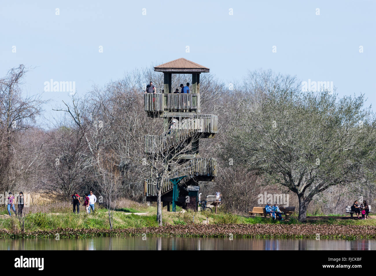 Wooden observation tower at Brazos Bend State Park, Houston, Texas, USA