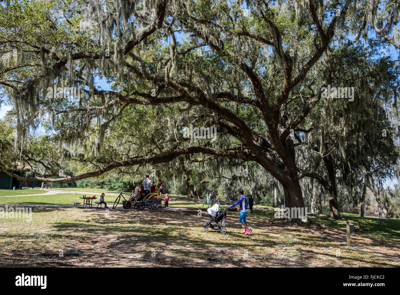 Families enjoy picnic at the Brazos Bend State Park, Houston, Texas