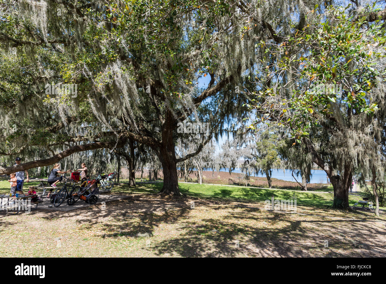 Families enjoy picnic at the Brazos Bend State Park, Houston, Texas