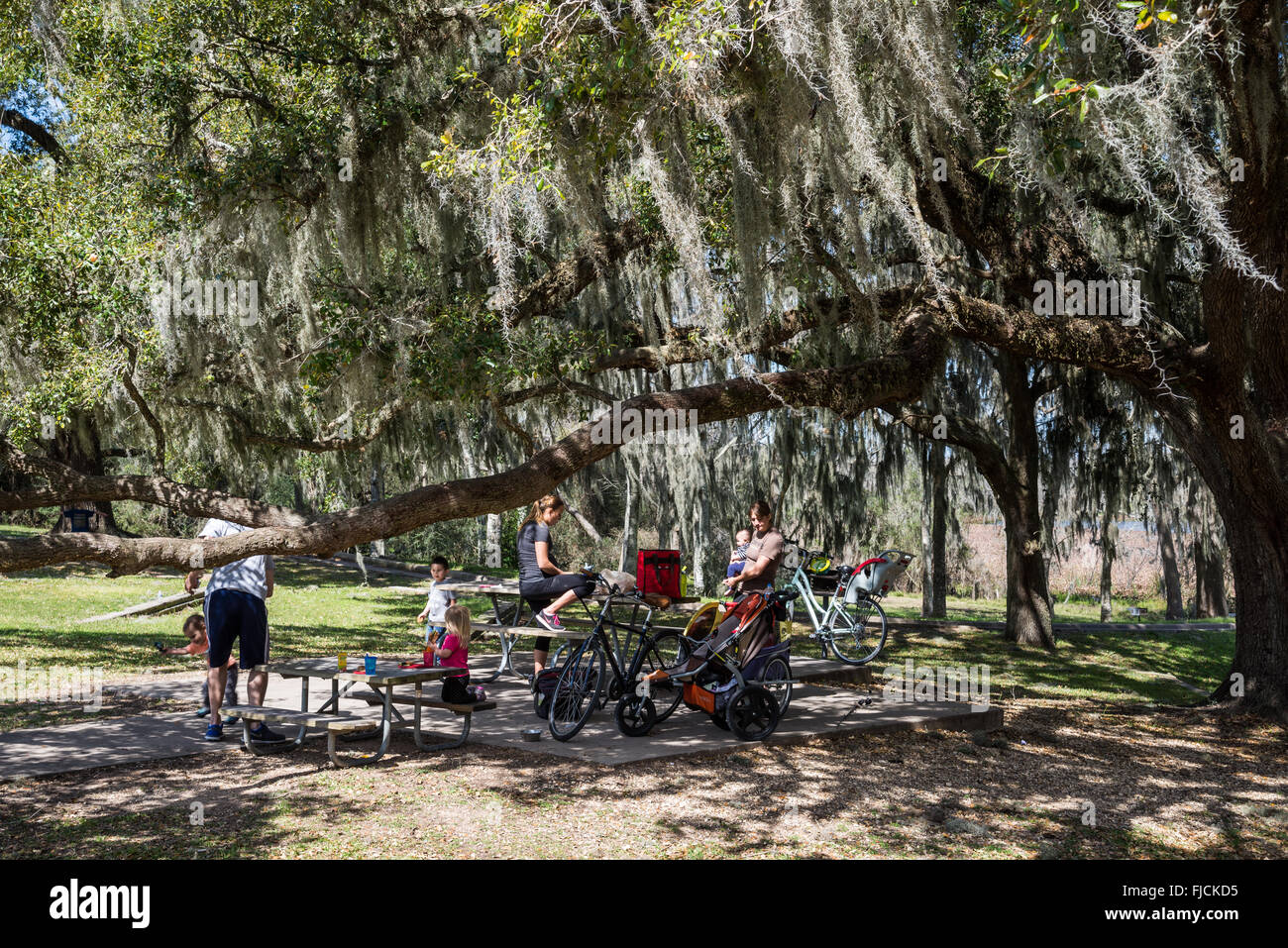Families enjoy picnic at the Brazos Bend State Park, Houston, Texas