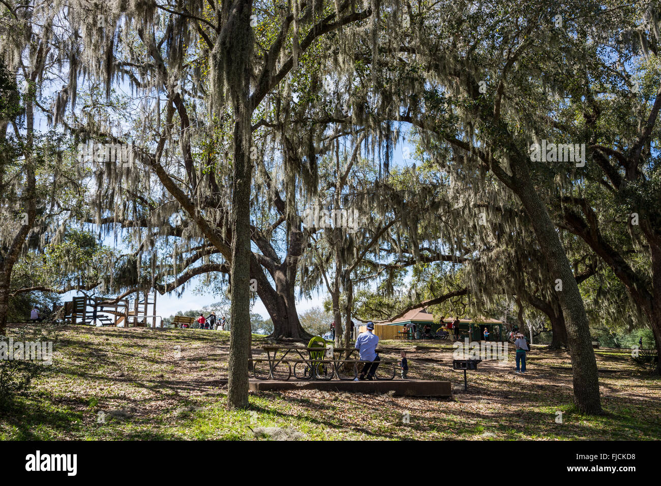 A family enjoys a picnic at the Brazos Bend State Park, Houston, Texas, USA Stock Photo Alamy