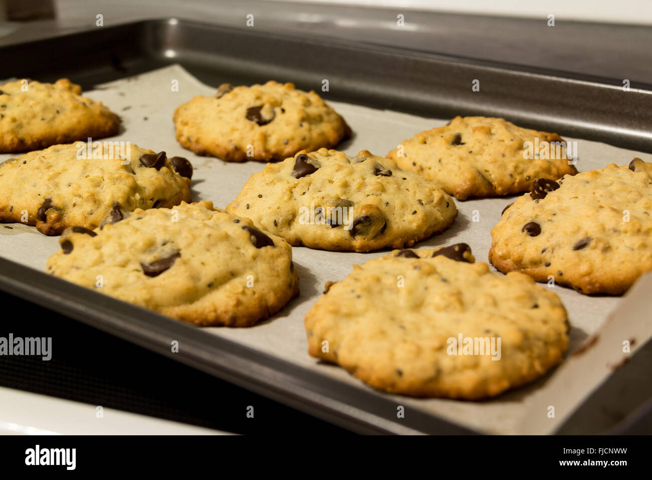 Handmade warm chocolate chip oatmeal and chia cookies on baking sheet Stock Photo