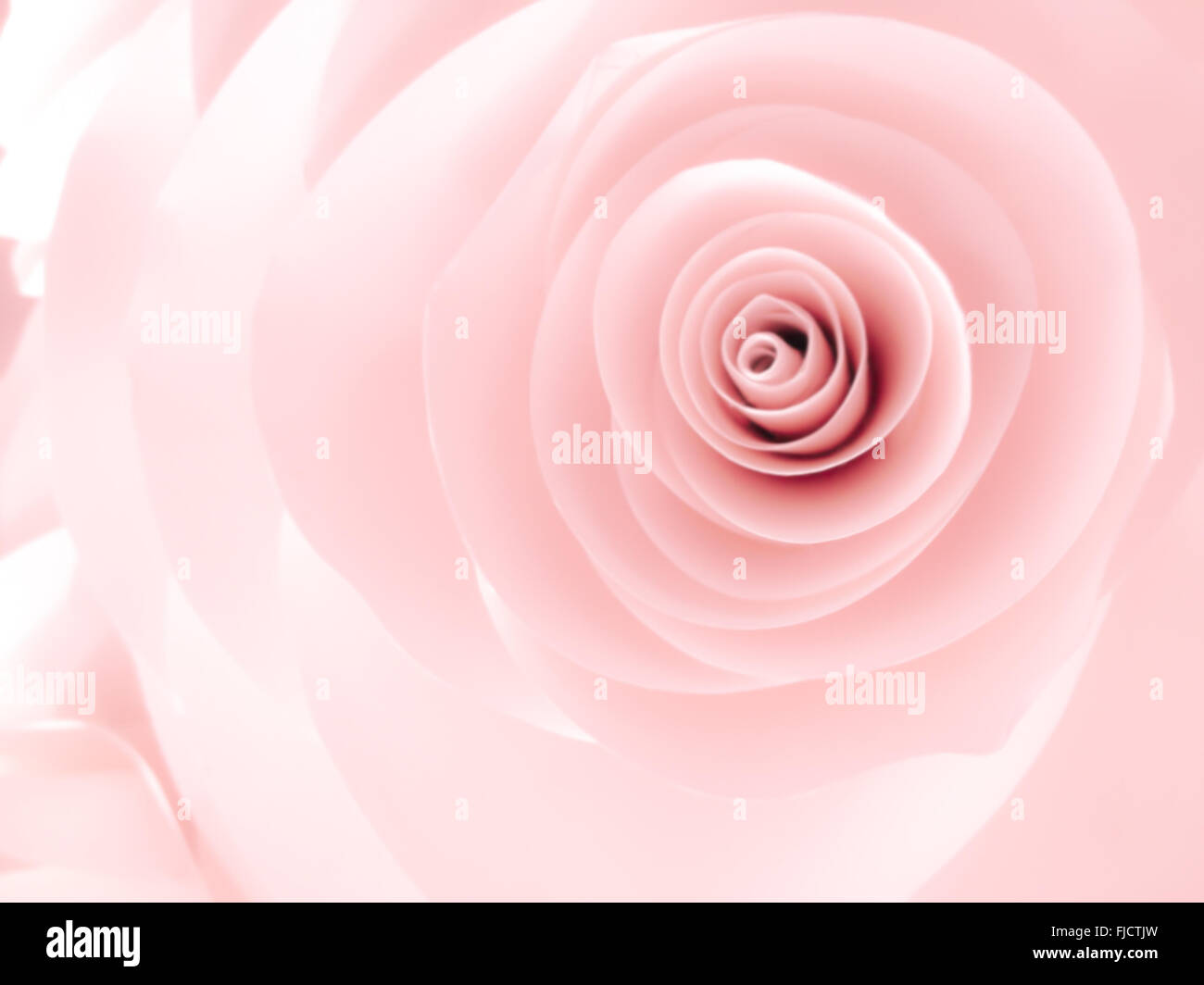 abstract background, paper flower ,pink rose blooming Stock Photo