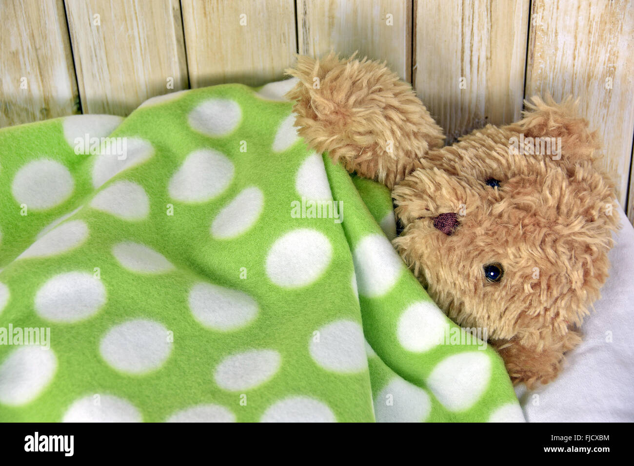 Fuzzy brown bear under a green and white polka dot fleece blanket. Stock Photo