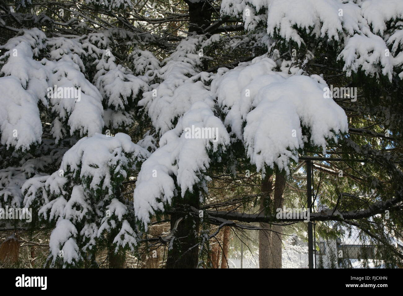 Ash creek hires stock photography and images Alamy