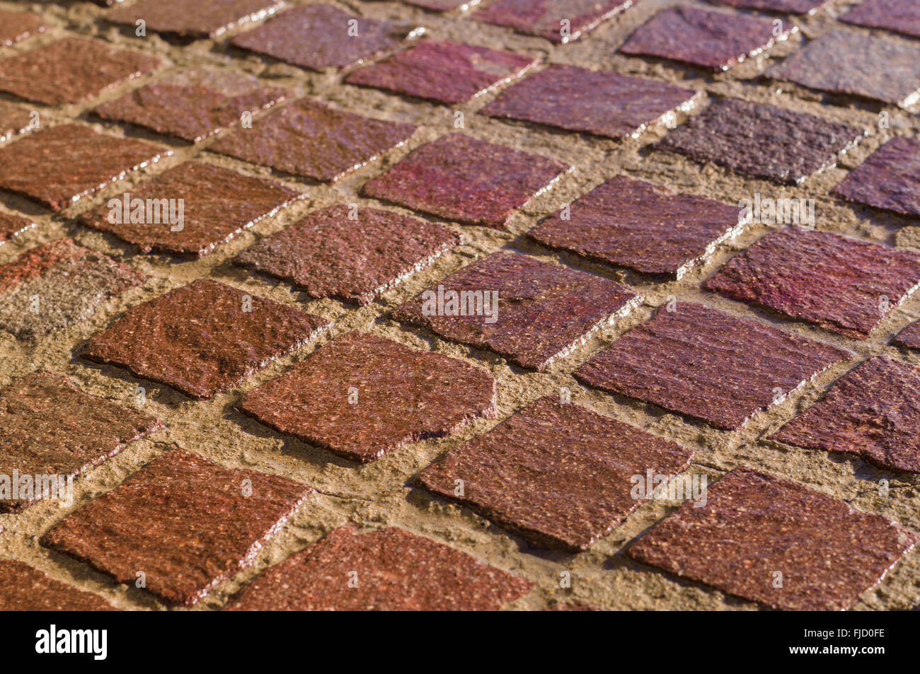 Decorative square tiled ground, wet after rain, shallow depth of field Stock Photo