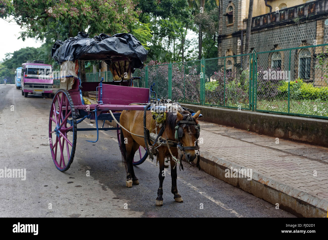Horse cart, tonga horse cart, tanga horse carriage, dharwad, Karnataka, india, asia Stock Photo