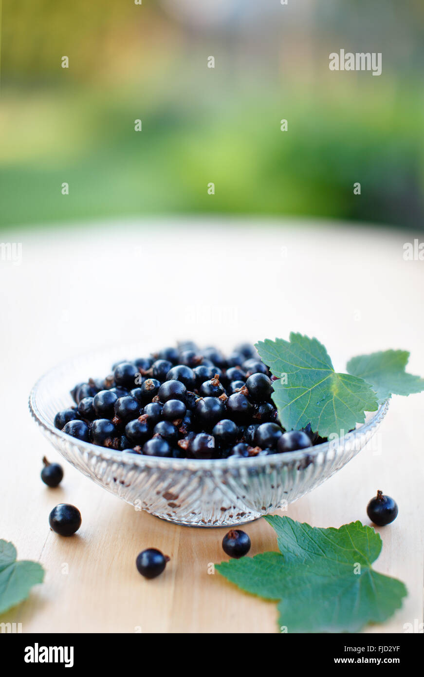 Ripe black currant berries in glass bowl on wooden table. Shallow depth of field Stock Photo