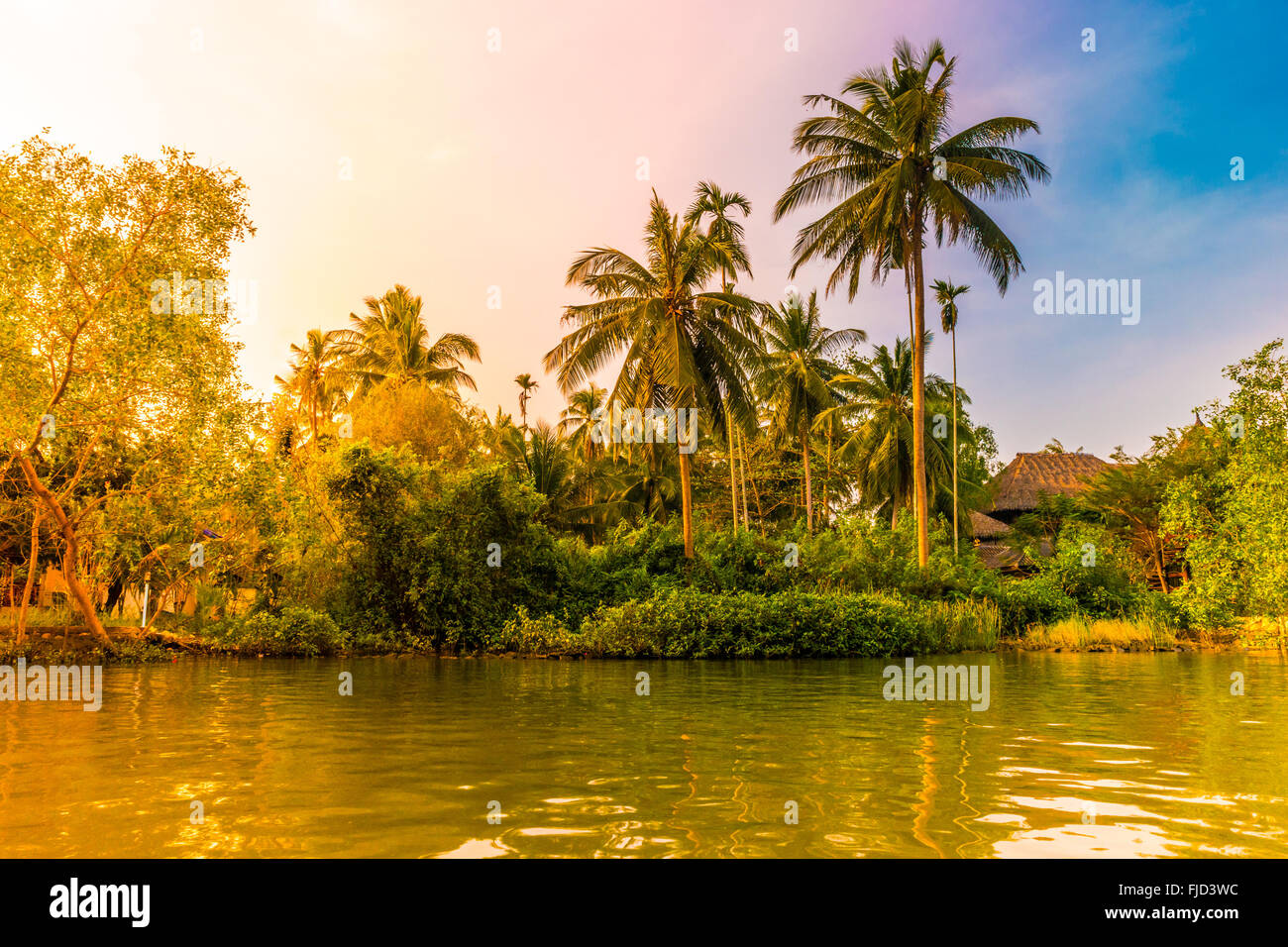 Palm trees on sea shore at beautiful sunny day Stock Photo - Alamy
