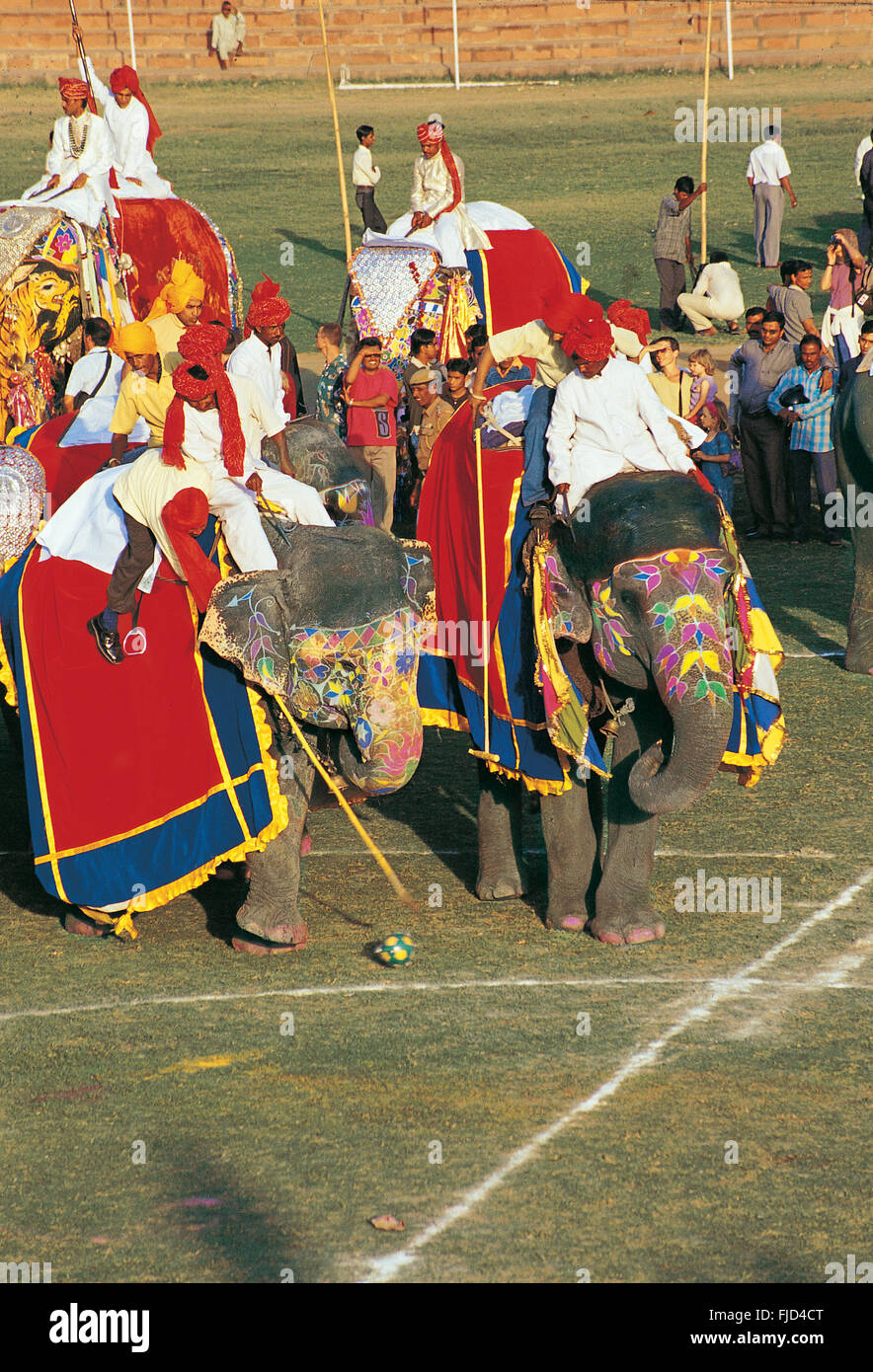 Elephant polo, jaipur, rajasthan, india, asia Stock Photo