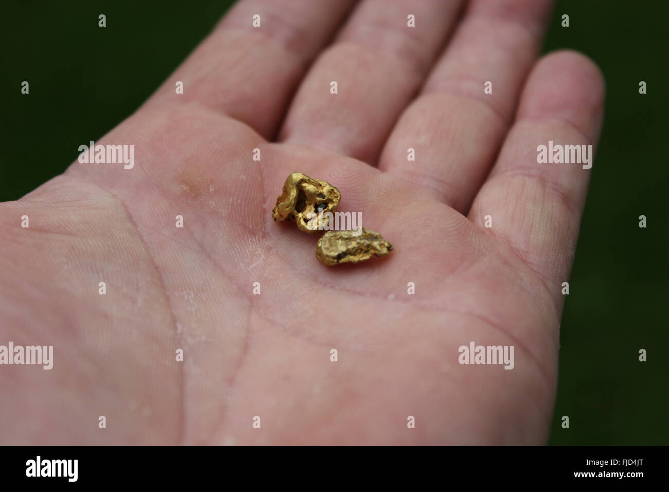 Gold nugget hand hi-res stock photography and images - Alamy