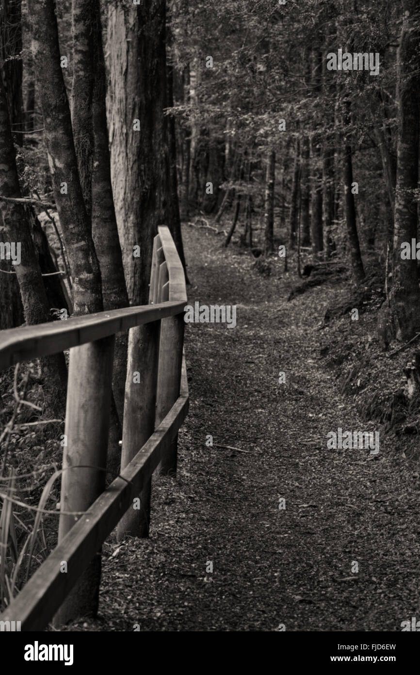 Pathway railing hi-res stock photography and images - Alamy