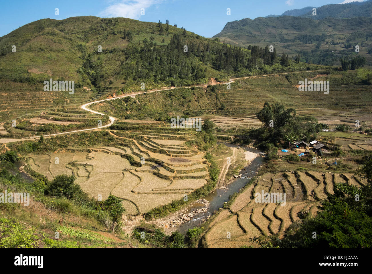 Terraced rice paddies in Ban Den, Sapa District, Vietnam Stock Photo