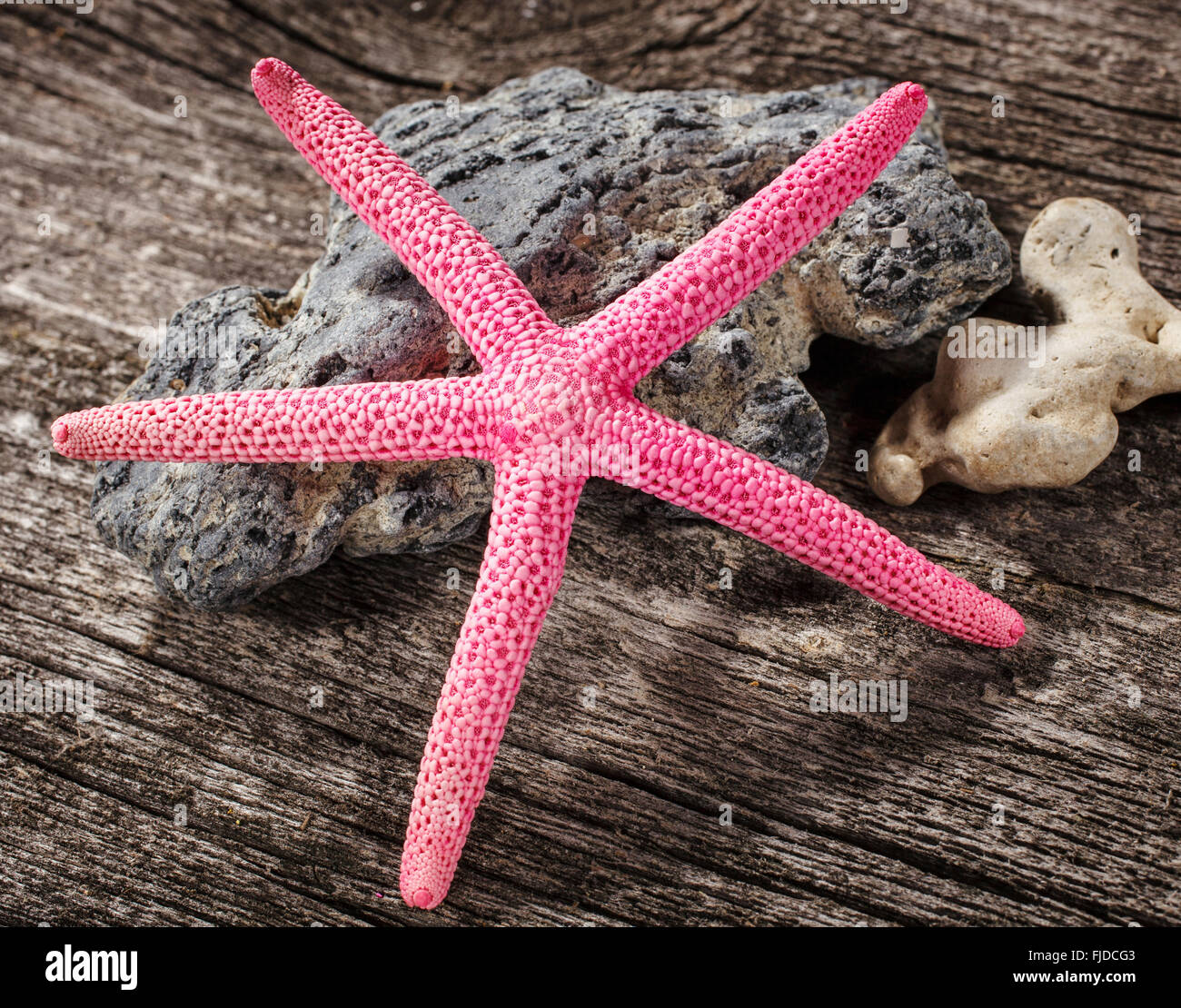 Sea shells on wooden background Stock Photo - Alamy