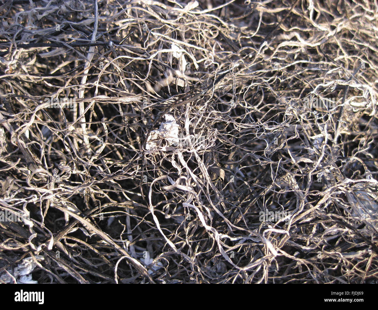 Background from the ashes of the burnt grass. Plant ash on the field