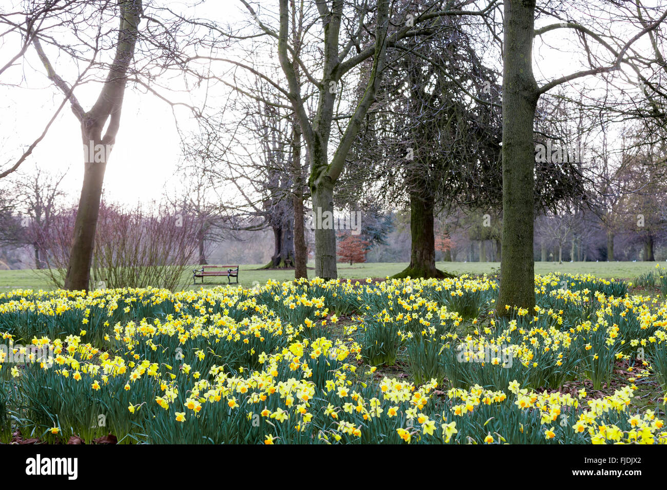 Abington Park. Northampton, U.K. 2nd of March 2016. U.K. Weather