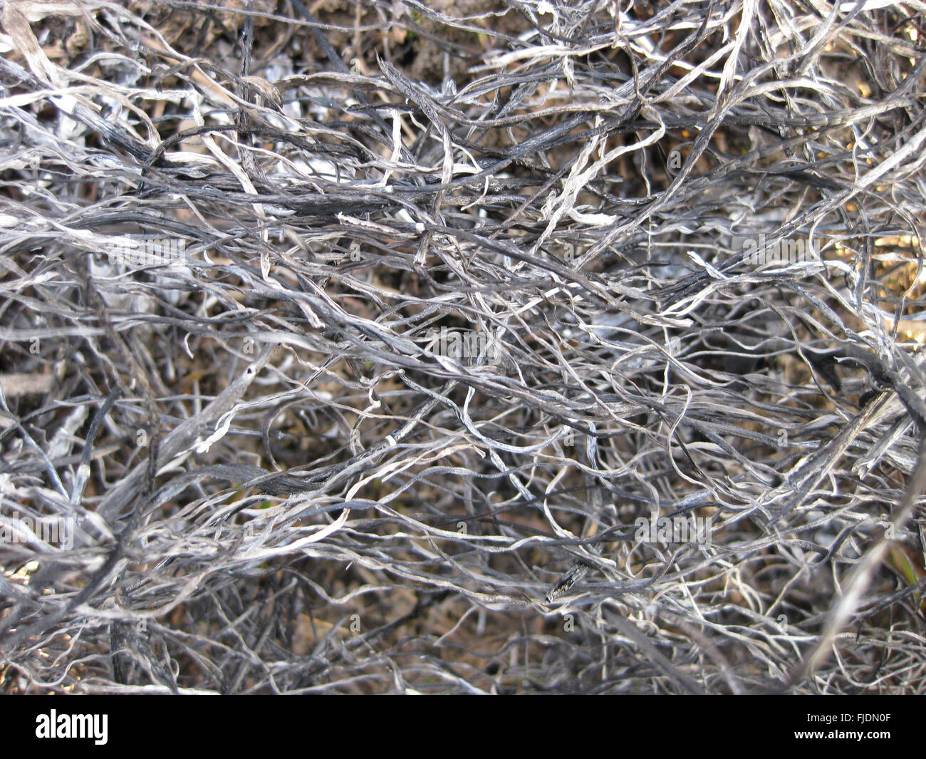 Background from the ashes of the burnt grass. Plant ash on the field