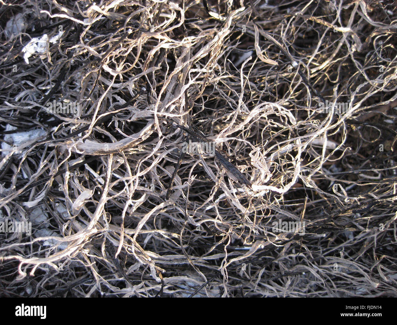 Background from the ashes of the burnt grass. Plant ash on the field