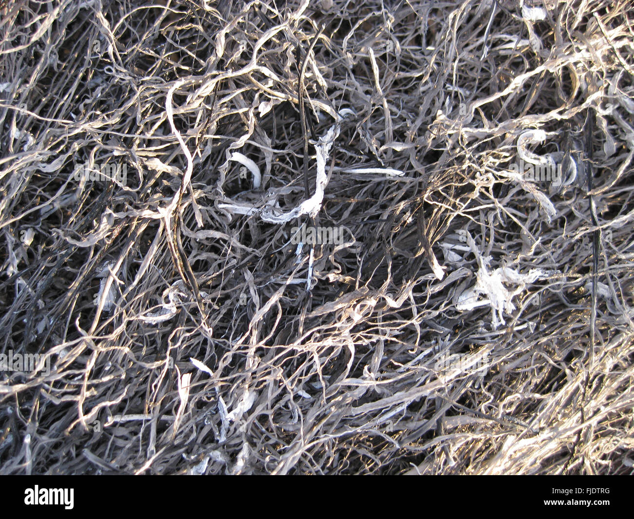 Background from the ashes of the burnt grass. Plant ash on the field