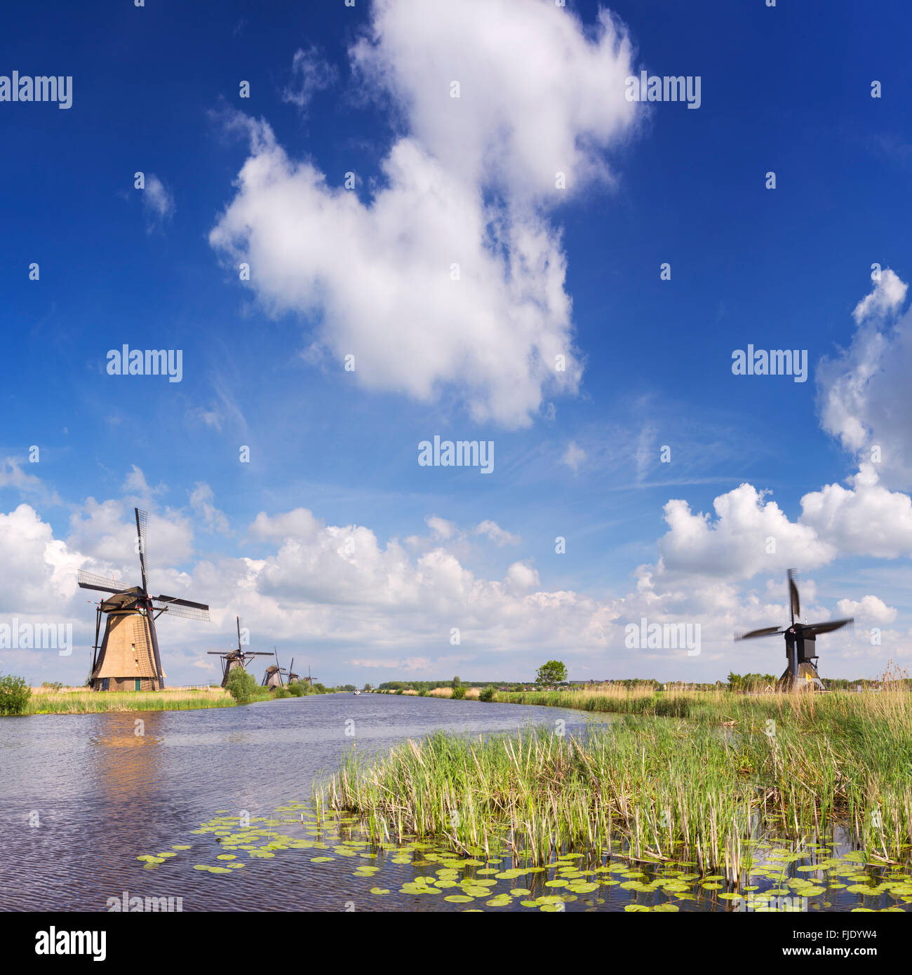 Traditional Dutch windmills on a bright and sunny day at the Kinderdijk in The Netherlands. Stock Photo