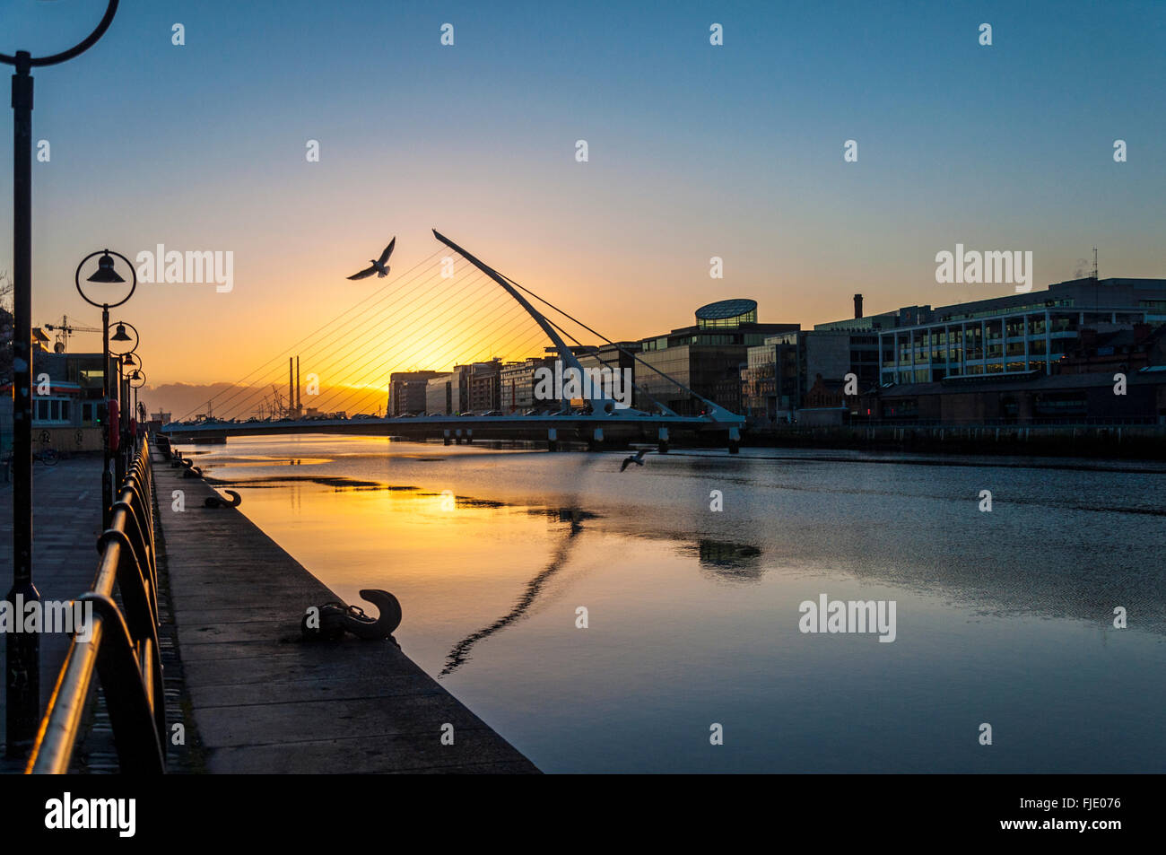 Samuel Beckett Bridge over River Liffey, Docklands area at dawn, Dublin, Ireland Stock Photo