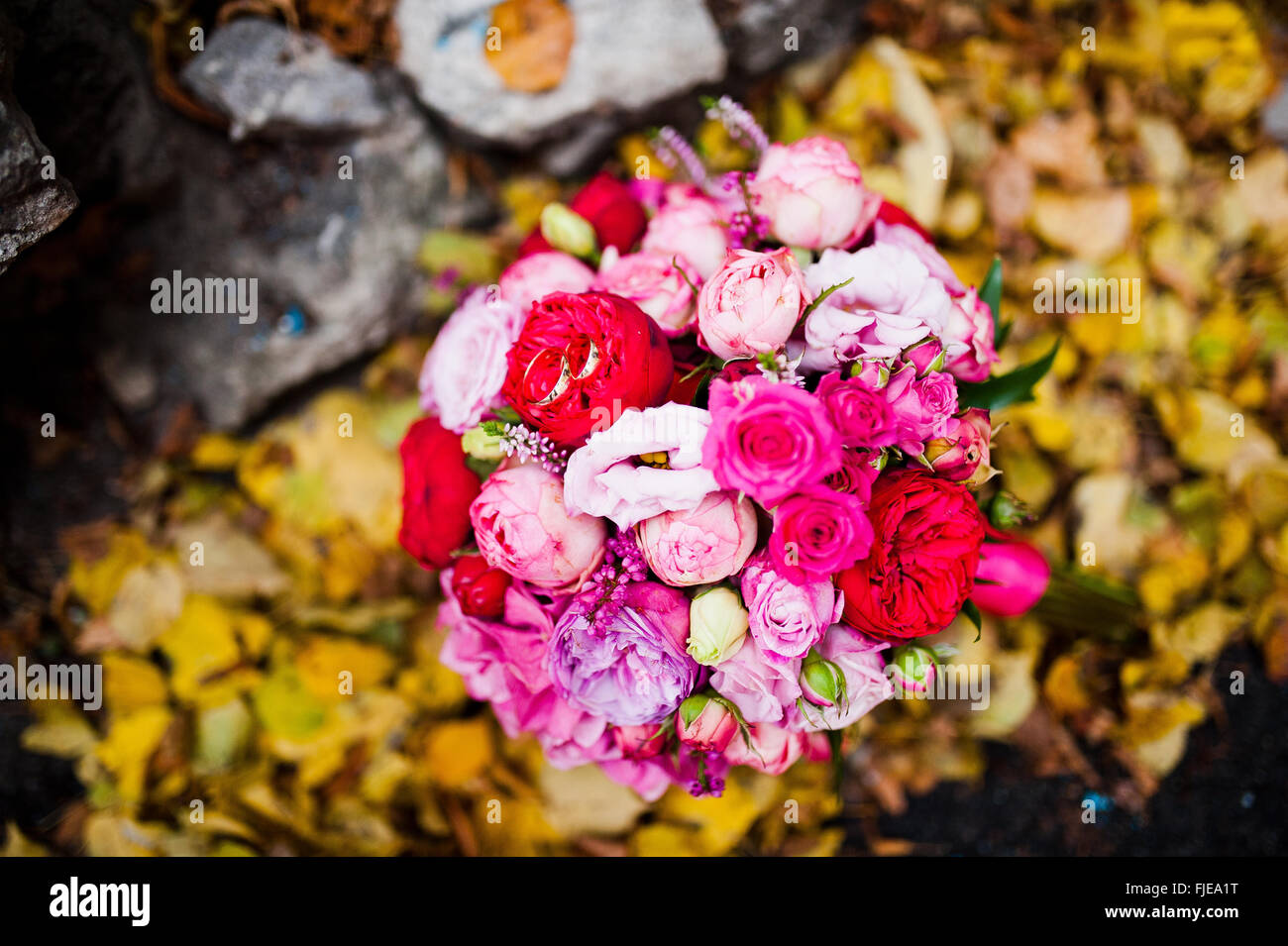 Wedding bouquet of rose and peony david austin at yellow leaves Stock ...
