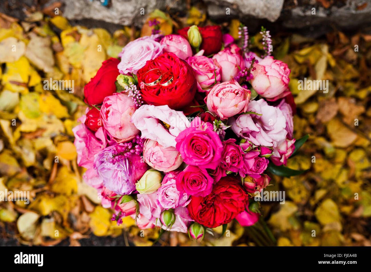 Wedding bouquet of rose and peony david austin at yellow leaves Stock ...