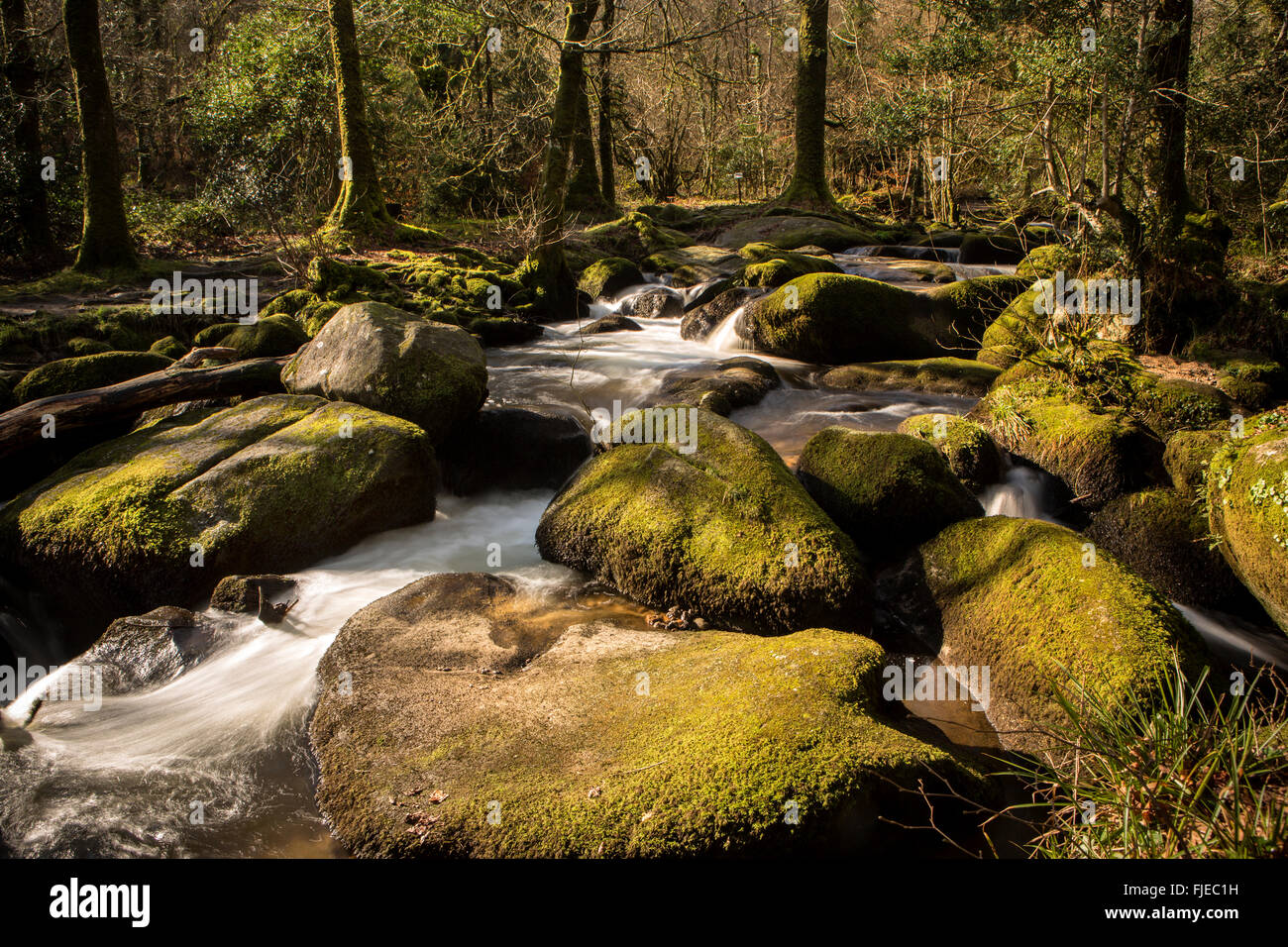 Becky Falls, Dartmoor, Devon Stock Photo Alamy