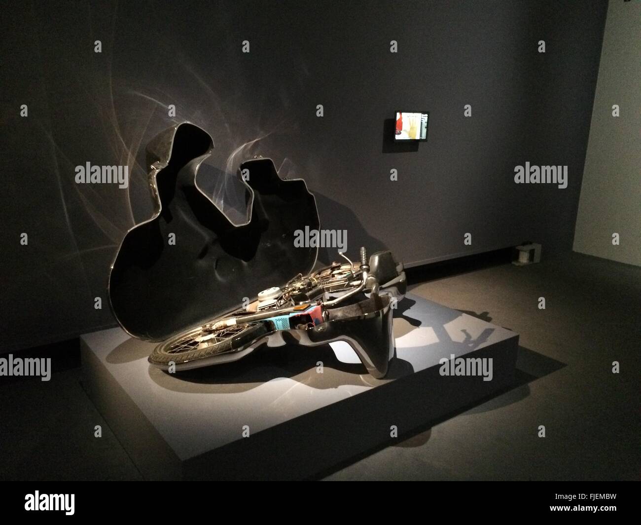 HANDOUT - A handout picture made available on 02 March 2016 by Sabine Glaubitz shows the piece 'Etui for a moped' by Belgian conceptual artist Wim Delvoye in the 'Carambolages' exhibition in the Grand Palais in Paris, France, 26 February 2016. Photo: SABINE GLAUBITZ/dpa Stock Photo