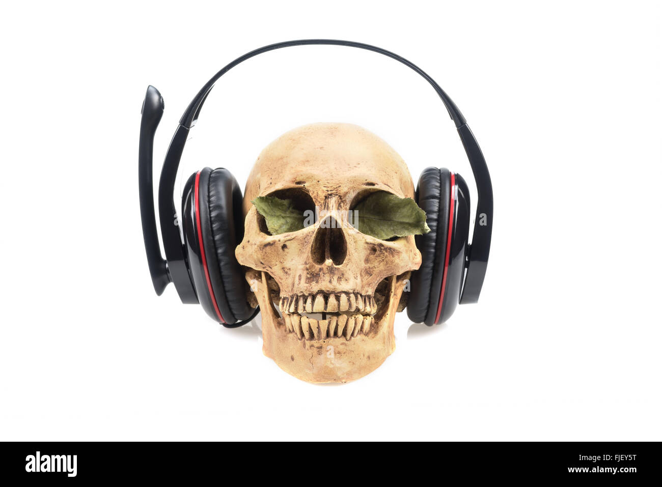 Human skull  in headphones isolated on a white background. Stock Photo